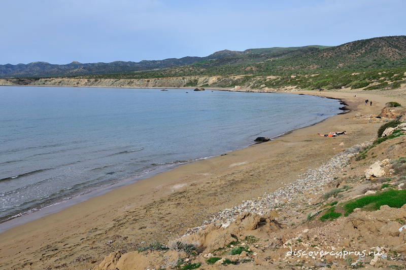 Лара бич - черепаховый пляж на Кипре