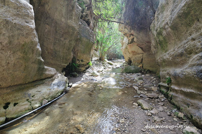 Ущелье Авакас, Кипр