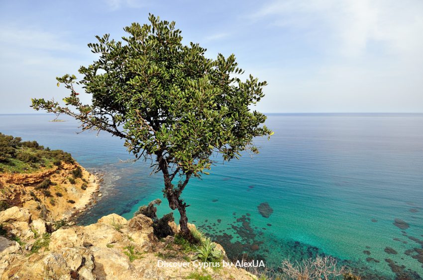 полуостров Акамас, Кипр
